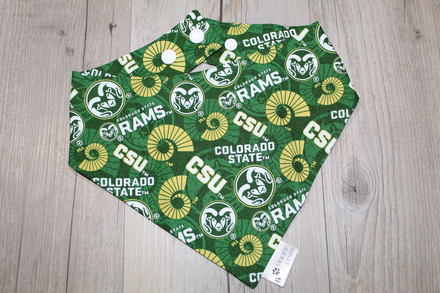 CSU bandana