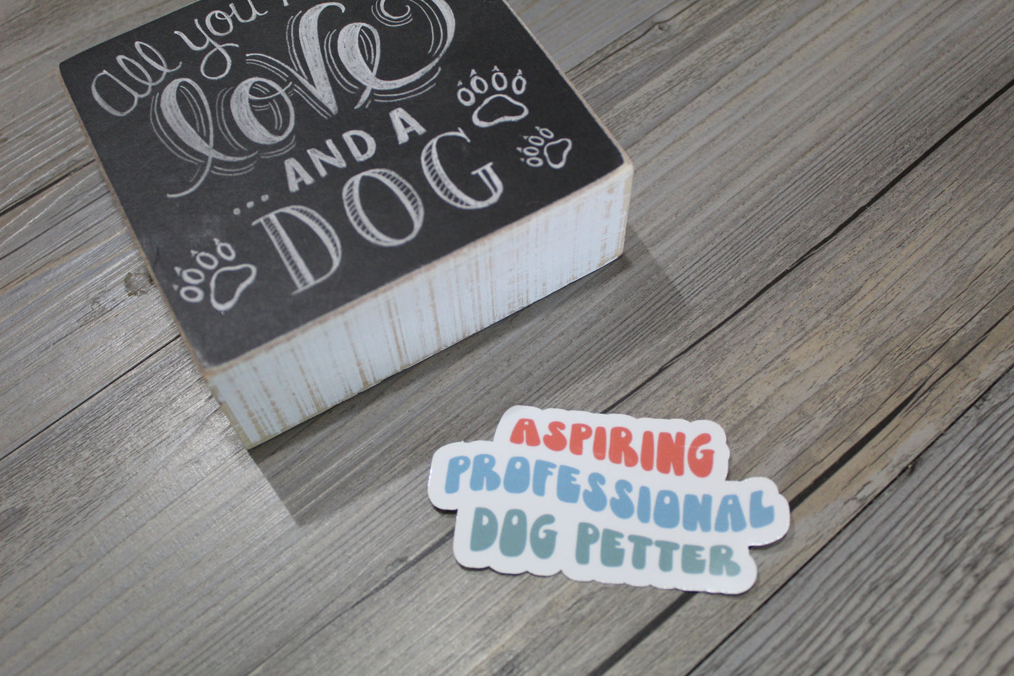 Aspiring professional dog petter