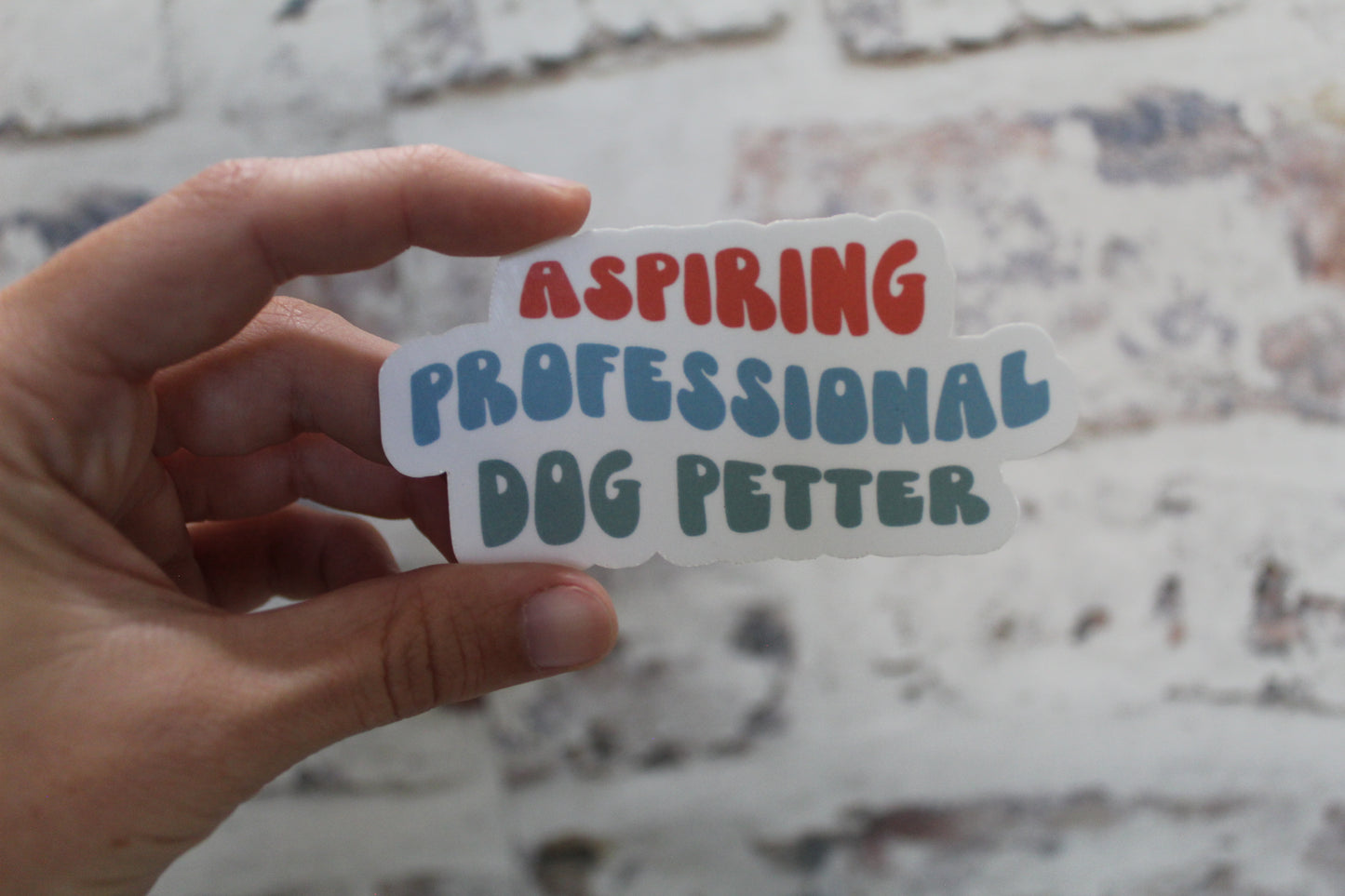 Aspiring professional dog petter