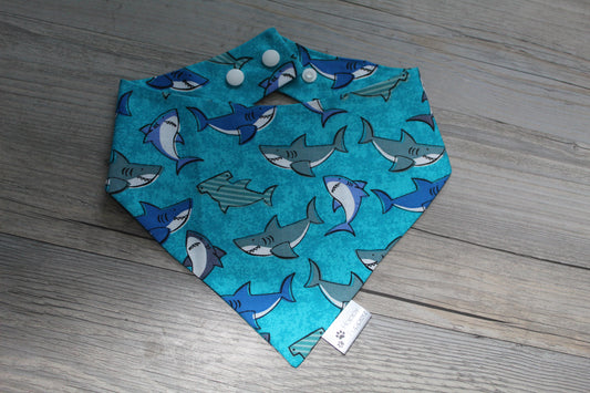 Shark bandana