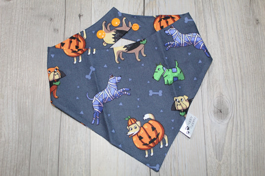 Halloween dogs in costumes bandana