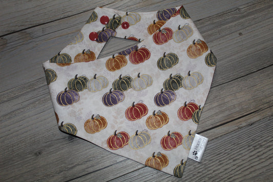 Fall pumpkins bandana