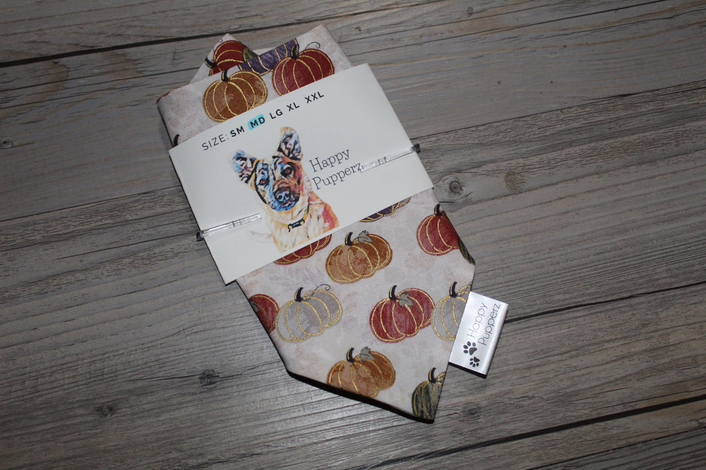 Fall pumpkins bandana